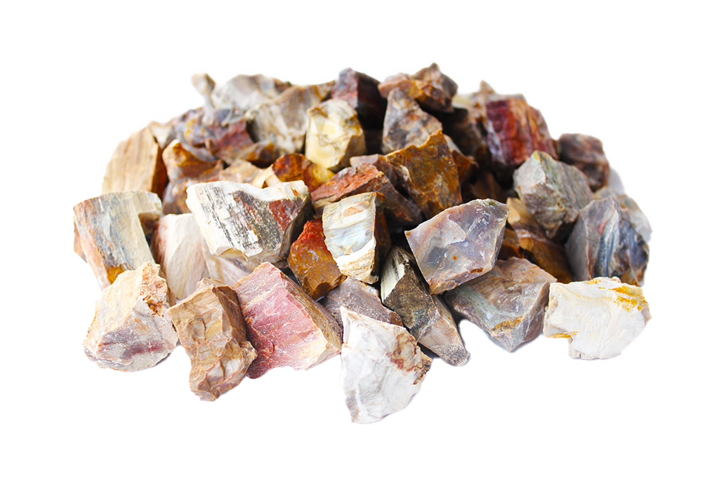 Petrified Wood Gem Decor Rough | 3 Lb Bags