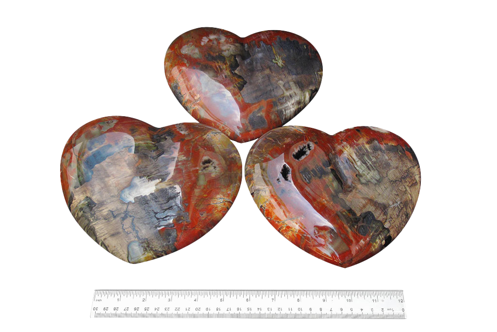 Petrified Wood Large Heart carvings. Luxury Home Decor. Gift item