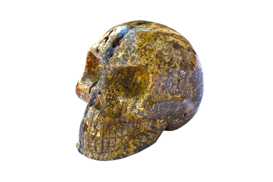 Handmade Sea Jasper Skull Carvings. Luxury Modern Interior Decoration