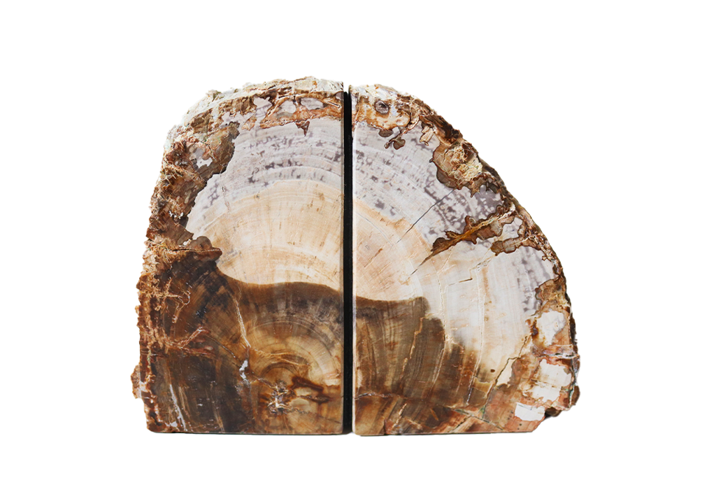 Petrified Wood Bookends - #1 Quality