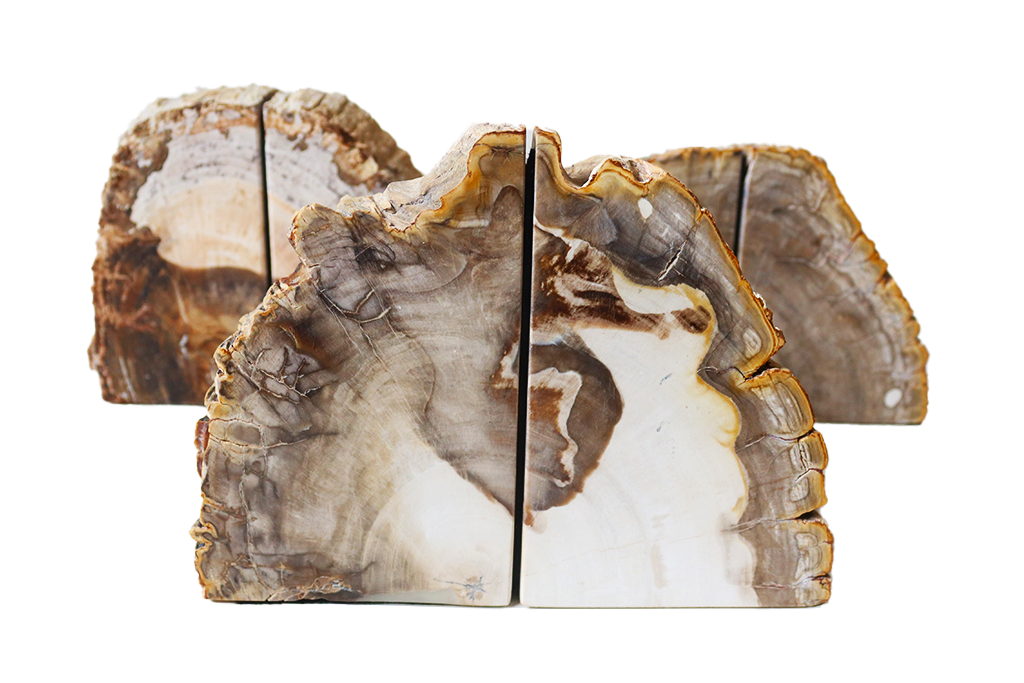 Petrified Wood Bookends - #1 Quality