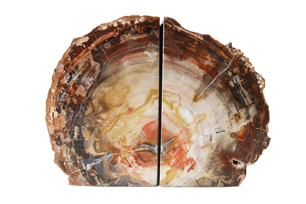 Petrified Wood Bookends - #1 Quality