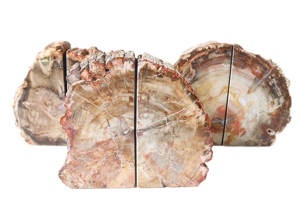 Petrified Wood Bookends - #1 Quality