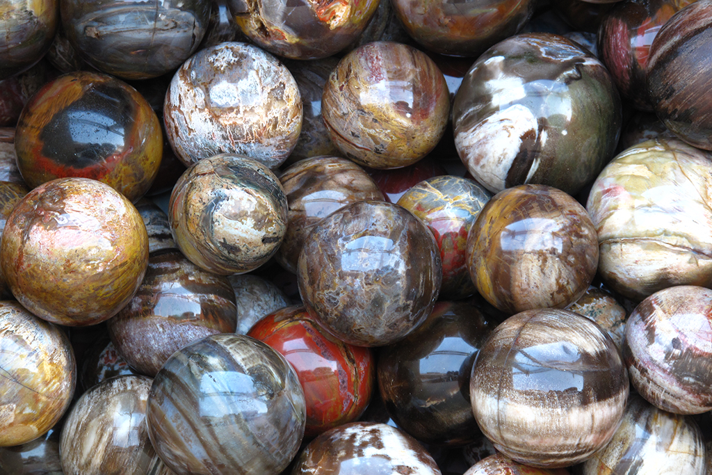 Petrified Wood Spheres