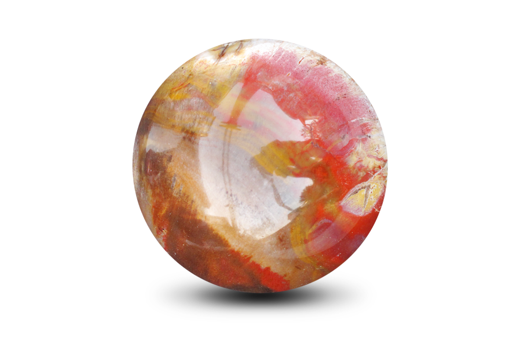 Petrified Wood Spheres