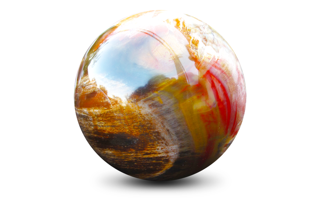 Petrified Wood Spheres