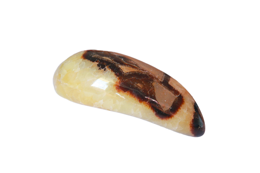 Septarian Round Massage Tool