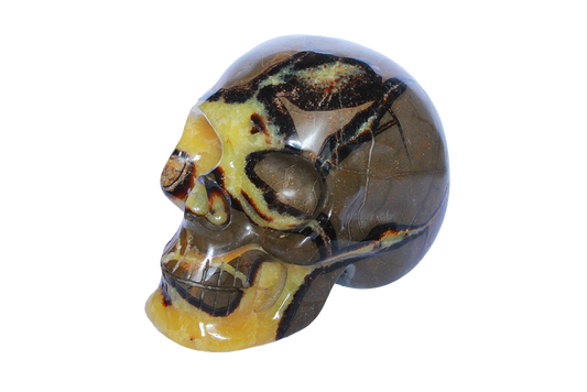 Handmade Septarian Skull Carvings. Luxury Modern Interior Decoration